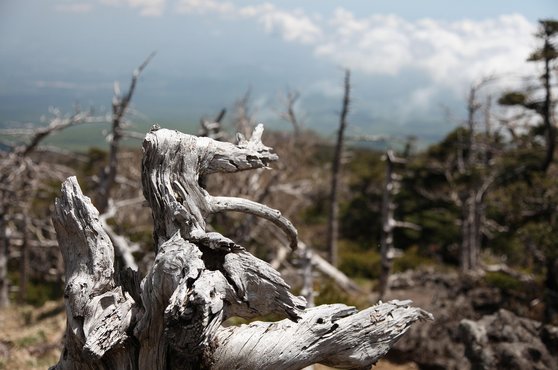 제주도 한라산 국립공원 - 이미지