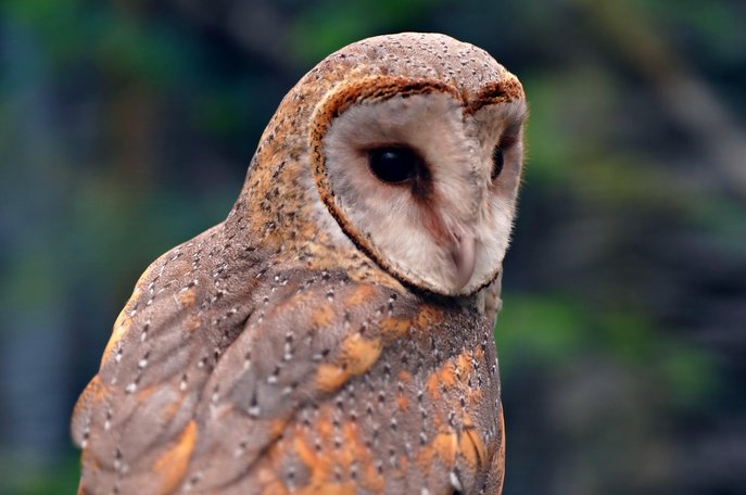 타이핑 알바 - 이미지