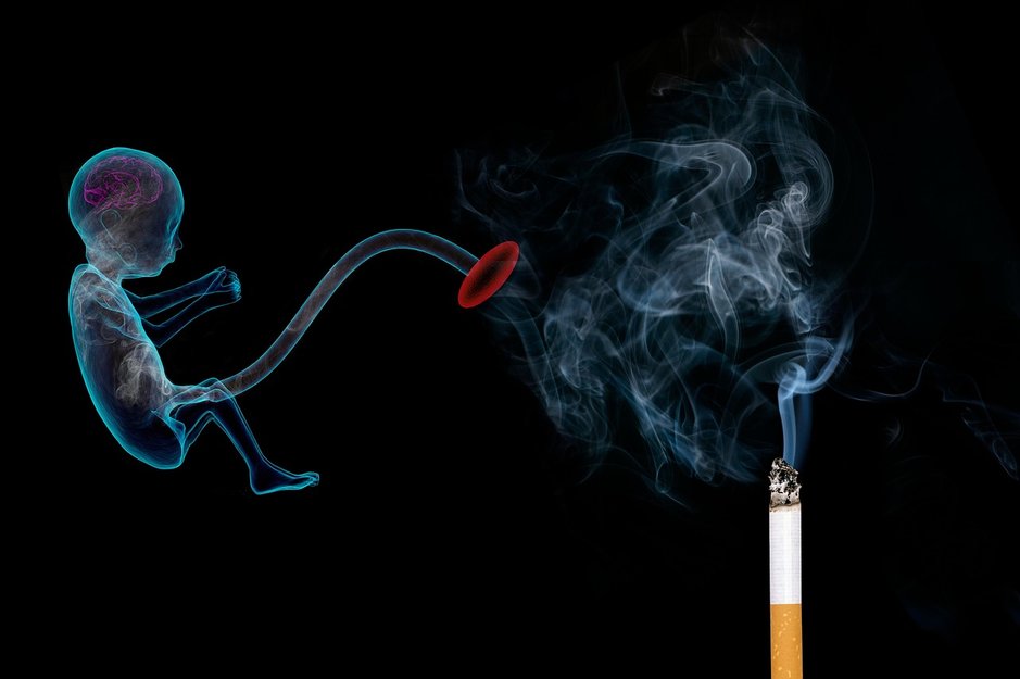 태아 보험 - 이미지