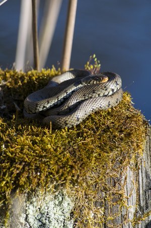 펀드 종류 - 이미지