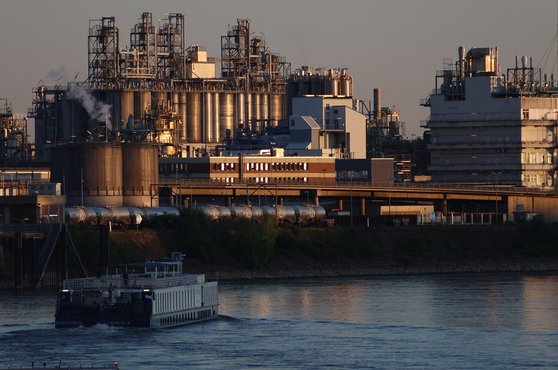 해운주 - 이미지