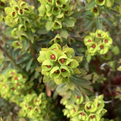 행복감 - 이미지