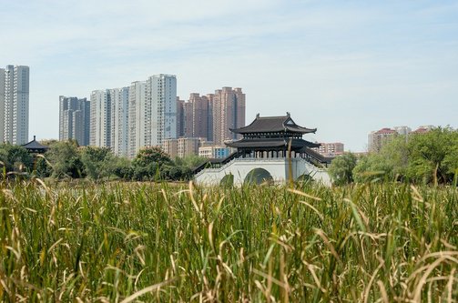 홍콩 스카이라인 - 이미지