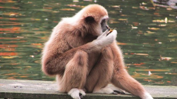 강점 개발 - 이미지