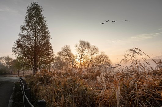 고요함 - 이미지
