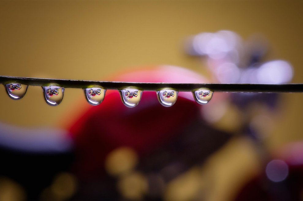 금리 하락 - 이미지