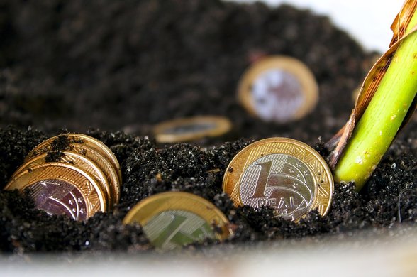 금융 교육 - 이미지