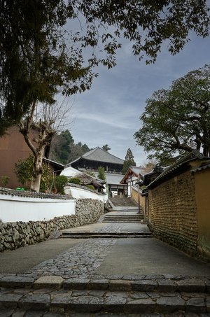 나라 도다이지 - 이미지