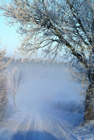만기연장ISA - 이미지