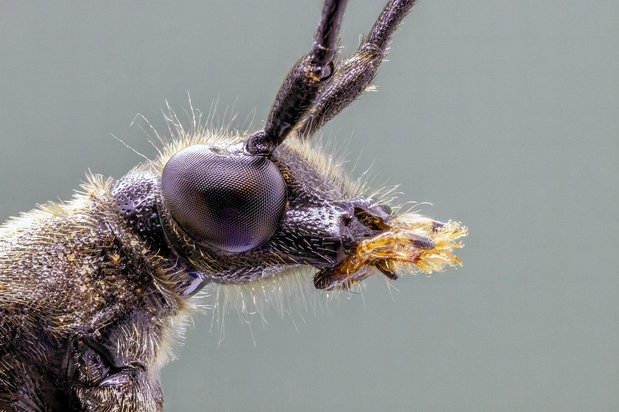 목적 발견 - 이미지