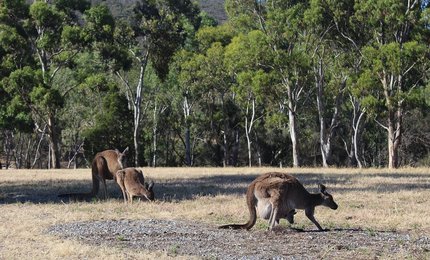 보호장비 - 이미지