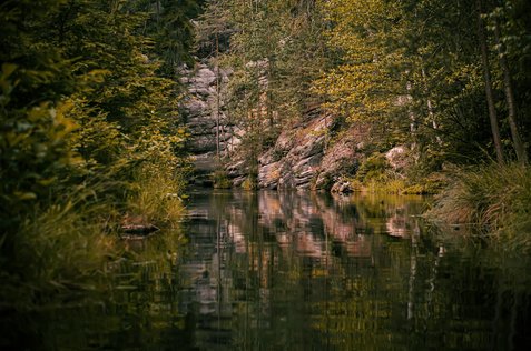비전 제시 - 이미지