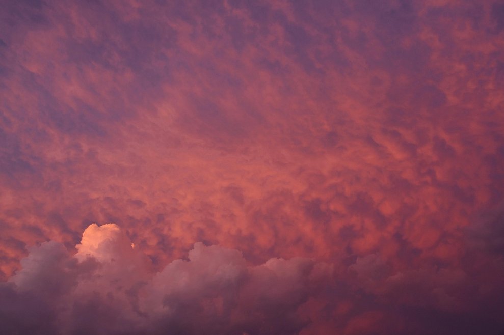 새벽기상 - 이미지