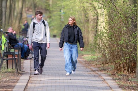 숲속 걷기 - 이미지