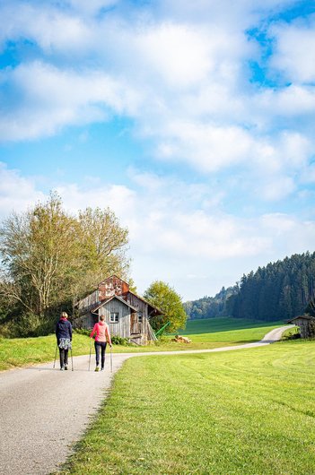 신체 활동 - 이미지