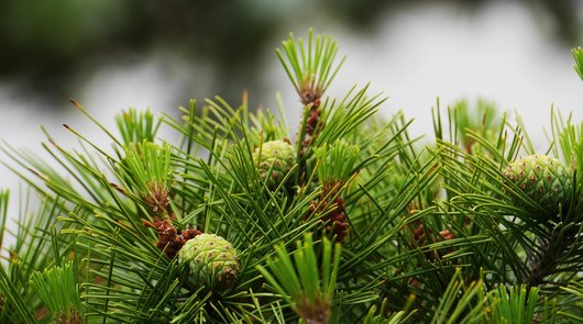 아침 활동 - 이미지