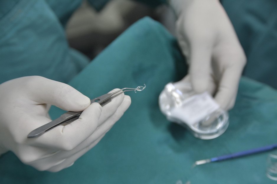 안내요원 - 이미지