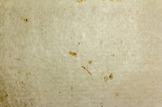 원고대필 - 이미지