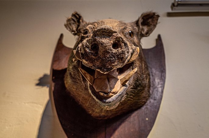 위험물 - 이미지