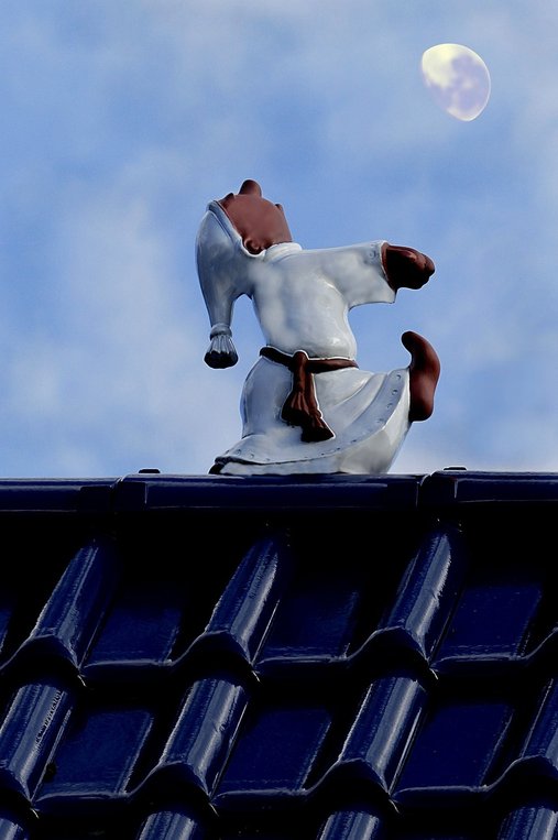 유병자보험 - 이미지