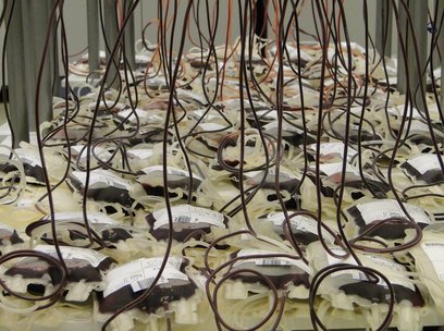 유상증자 - 이미지