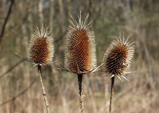 유휴공간 - 이미지