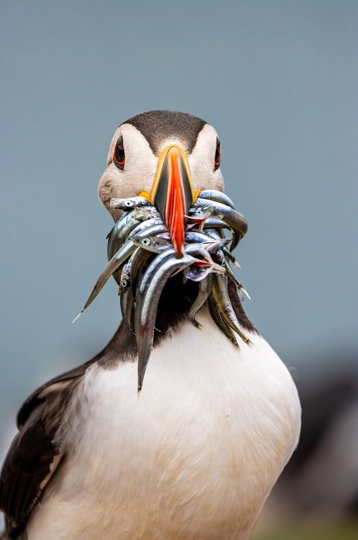 은퇴시뮬레이션 - 이미지