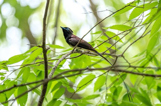 인생코칭 - 이미지