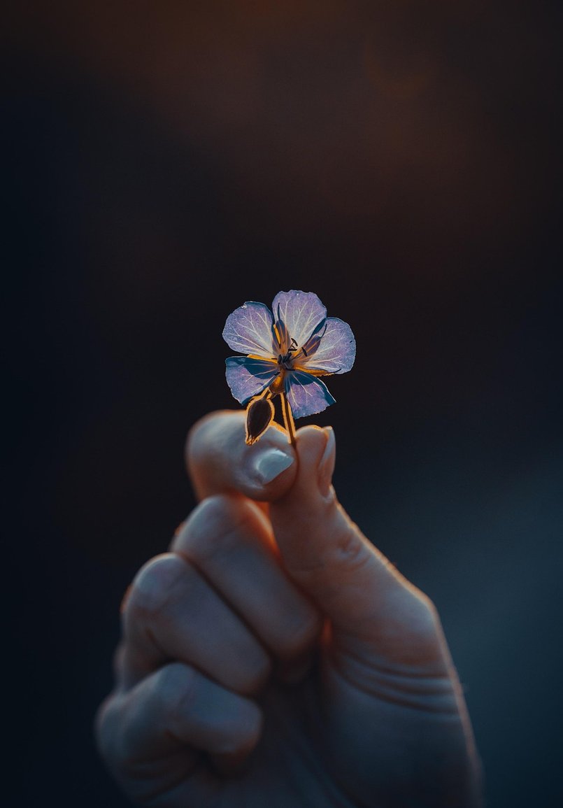 자기 인식 - 이미지