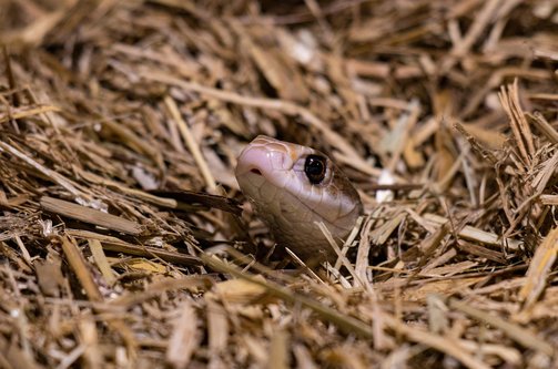 재고없이판매 - 이미지