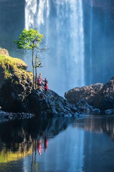저탄고지 - 이미지