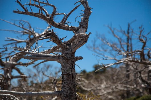 제주도 한라산 - 이미지