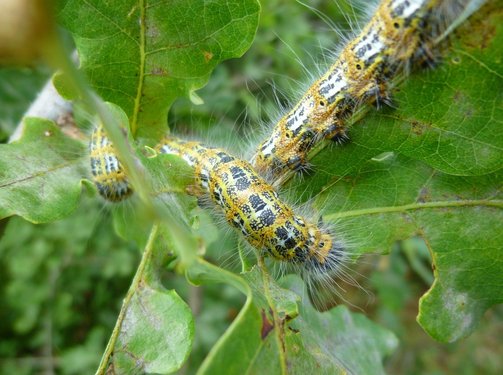 종부세 - 이미지