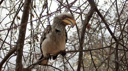 종부세 - 이미지