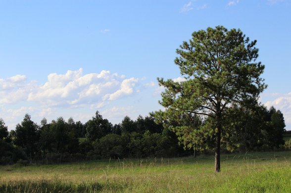 주말농장 - 이미지
