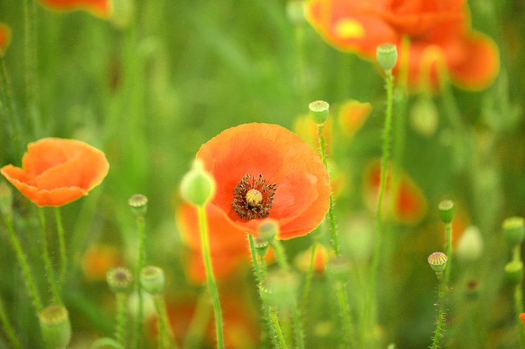 주식리딩 - 이미지