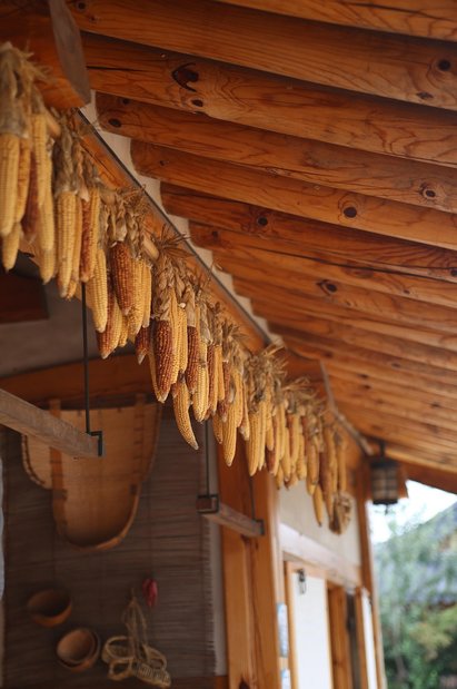 체험단 - 이미지