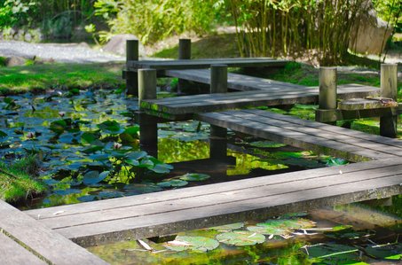 카르타고 카르타고 유적 - 이미지