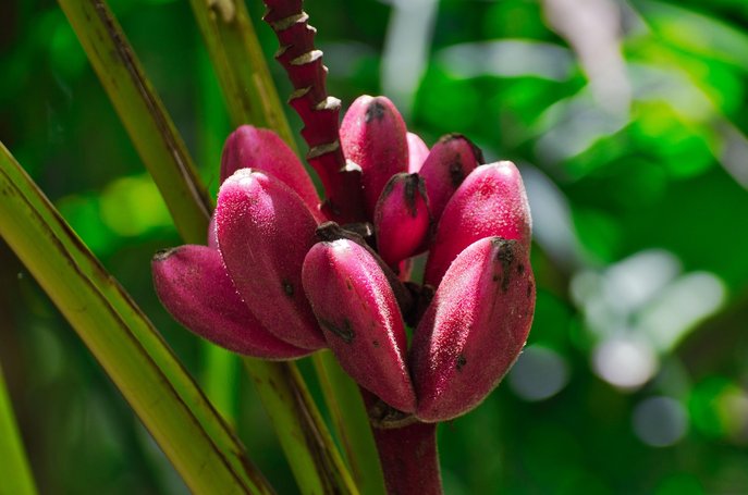 카르타고 카르타고 유적 - 이미지
