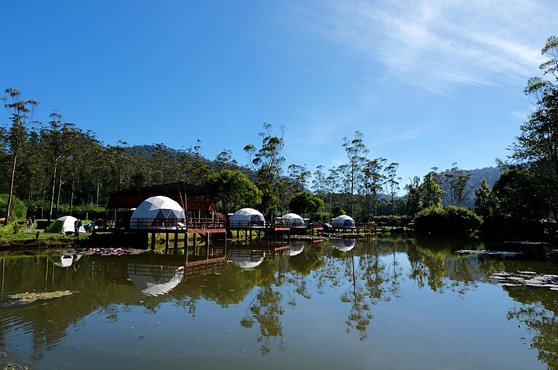 캠핑장관리 - 이미지