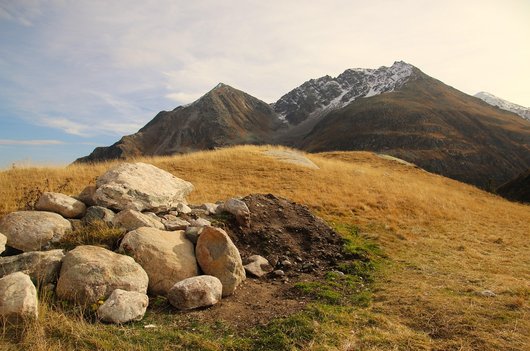 커리어패스 - 이미지