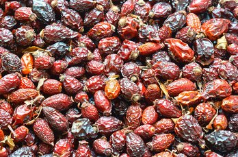 쿠팡 위탁 - 이미지