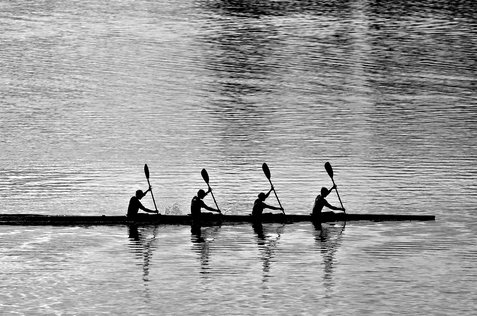 팀워크 - 이미지