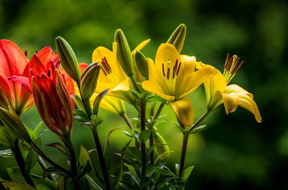 펀드 환매 - 이미지