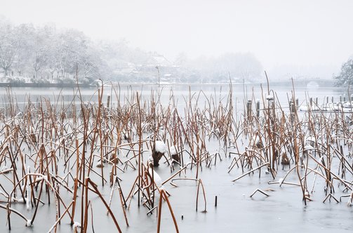 항저우 서호 - 이미지