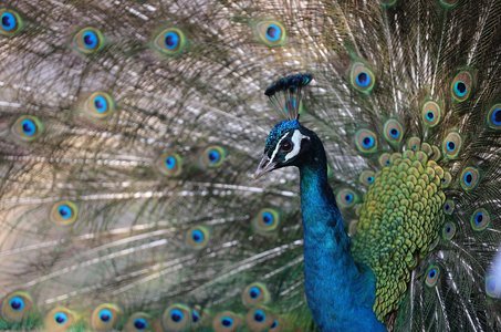 항저우 서호 - 이미지