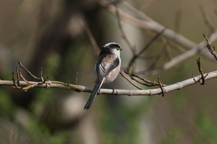 화목한 - 이미지