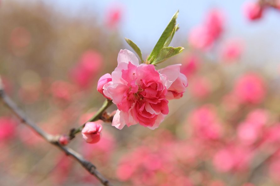 환전 우대 - 이미지