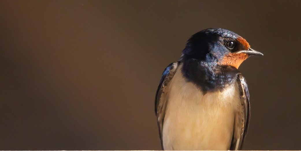 휴식 공간 - 이미지