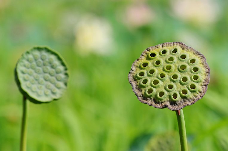 POD출판 - 이미지